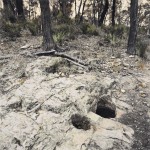 Wooroo (mouth) Rock Well, Whroo – Rushworth State Forest 2013 by Nici Cumpston