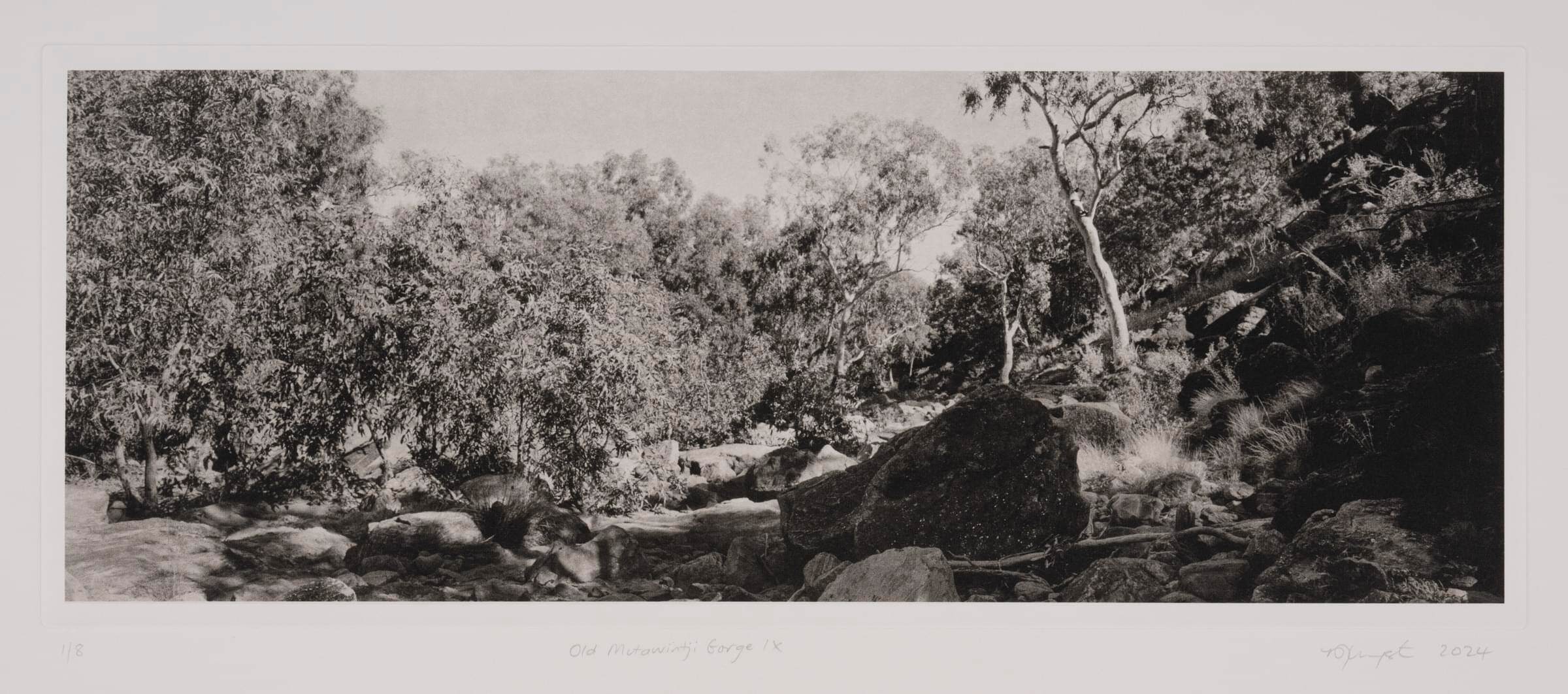 Old Mutawintji Gorge_IX_4418_detail