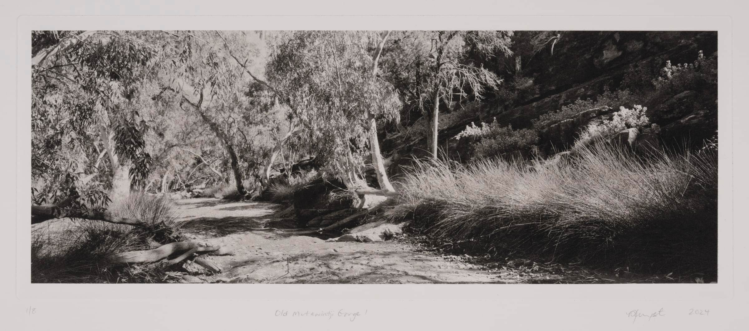 Old Mutawintji Gorge_I_4417_detail