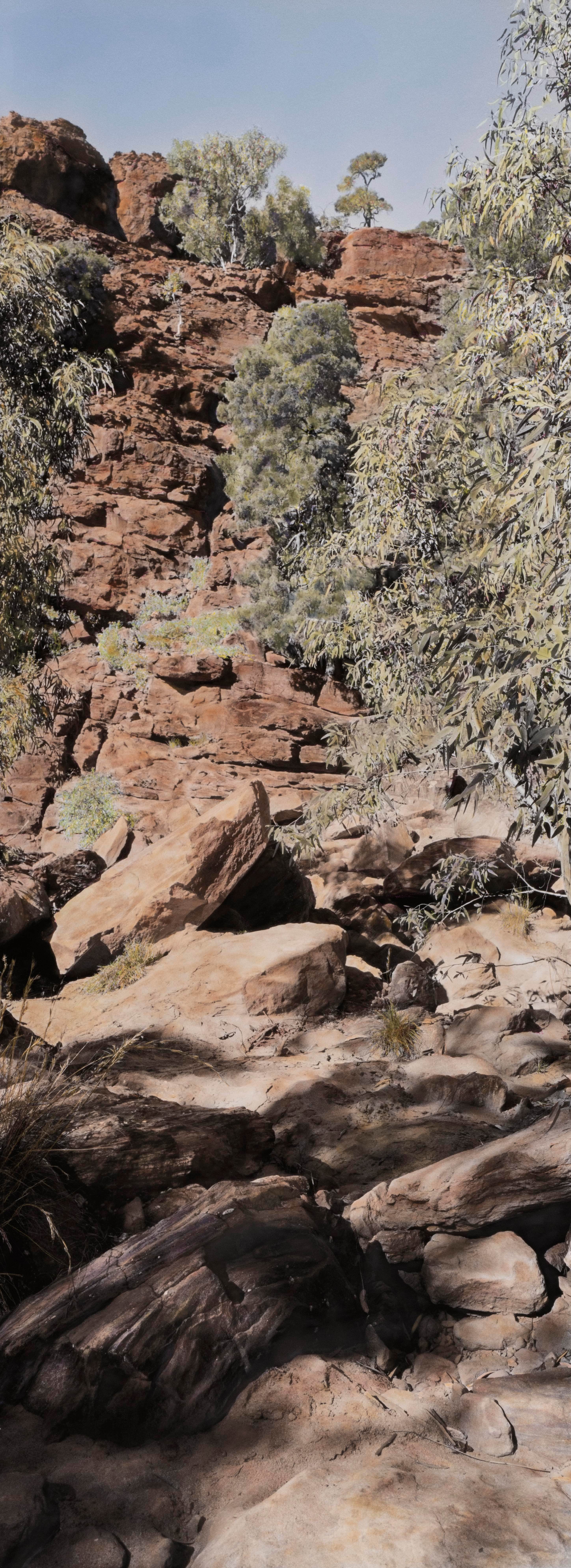 Old Mutawintji Gorge IV