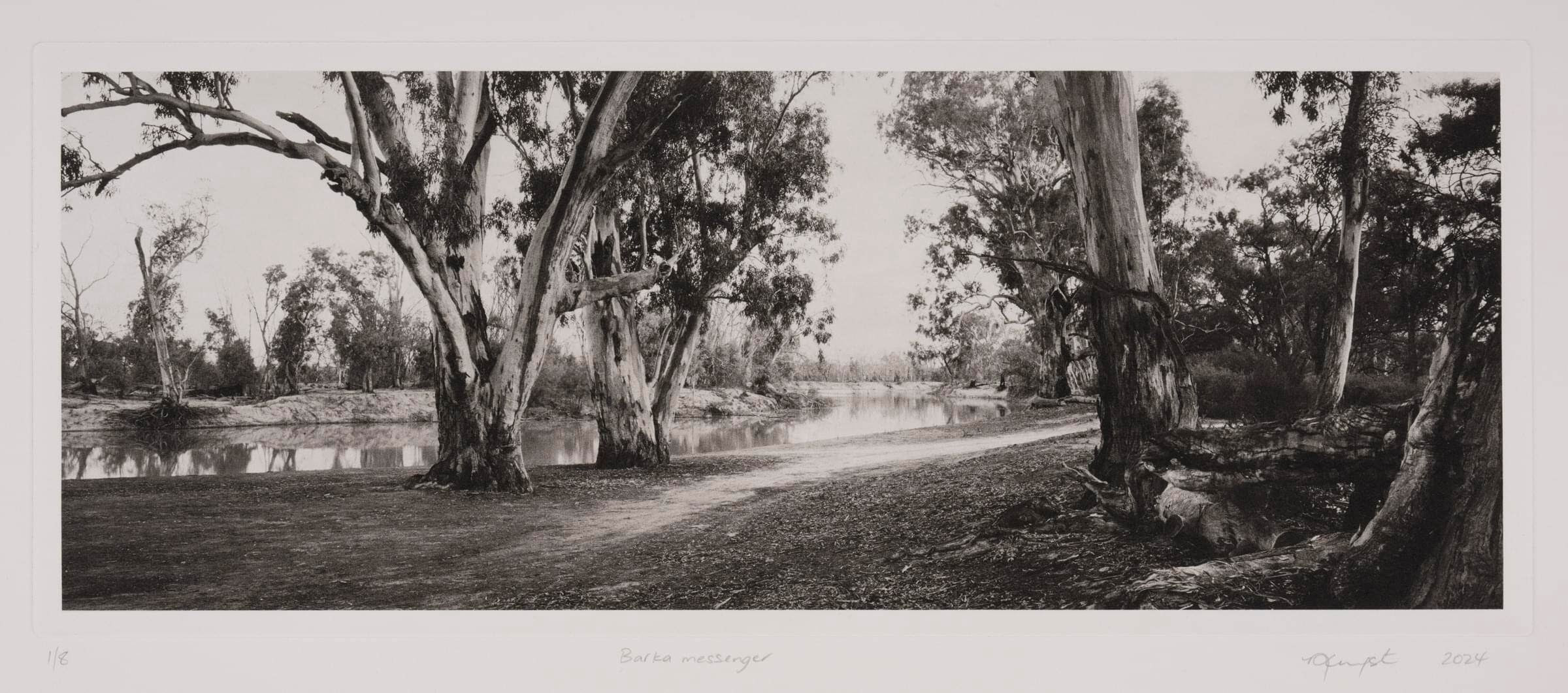 Barka messenger_4421_detail