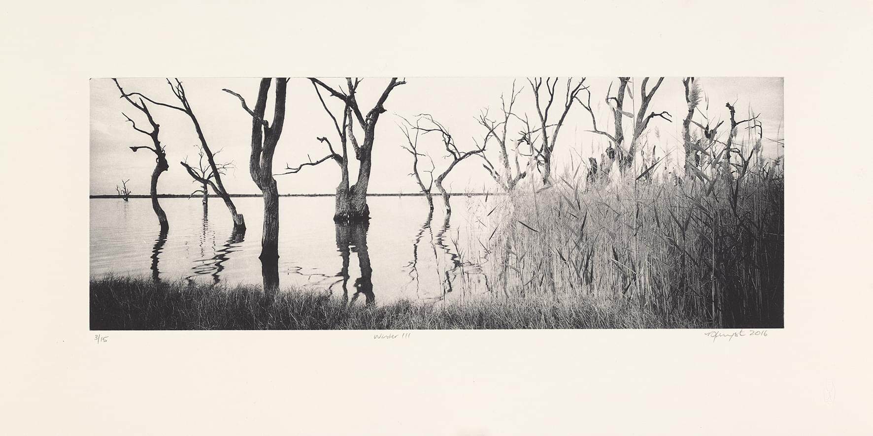 3. Winter III_4652_lr