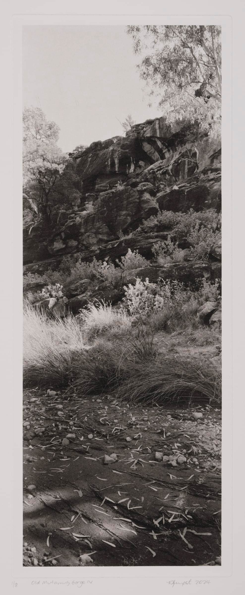 Old Mutawintji Gorge_IV_4416_detail