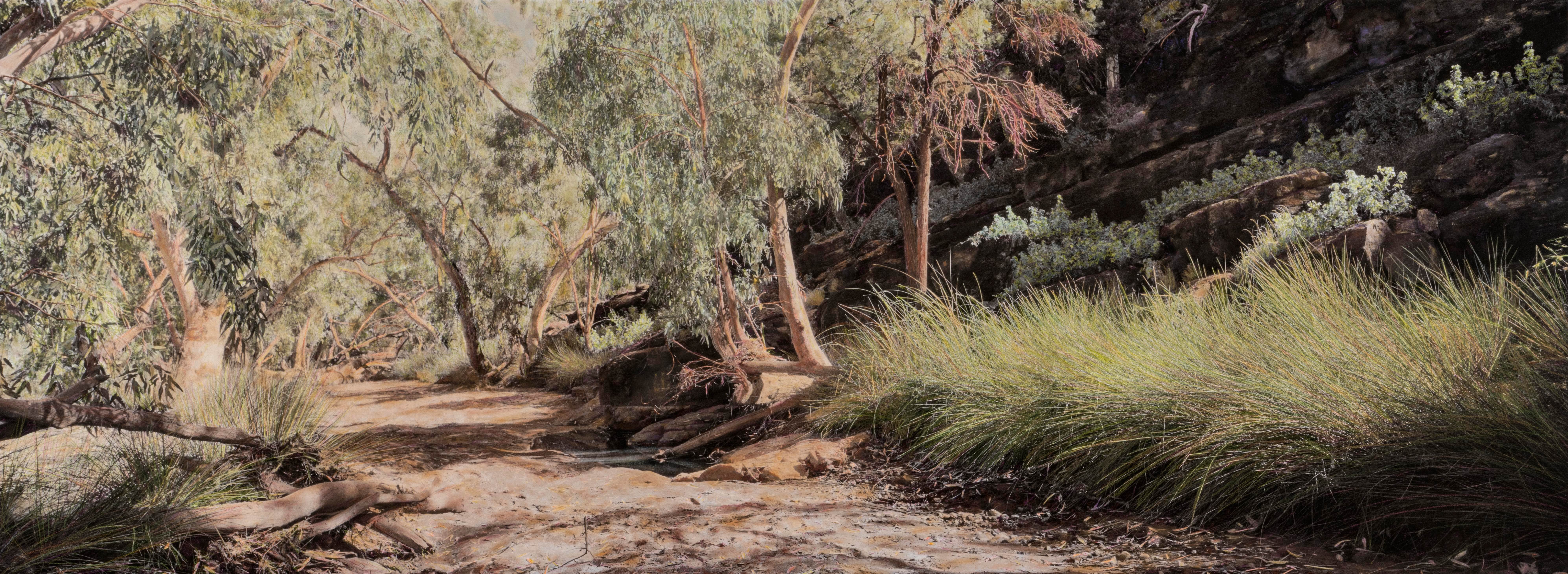 Old Mutawintji Gorge I