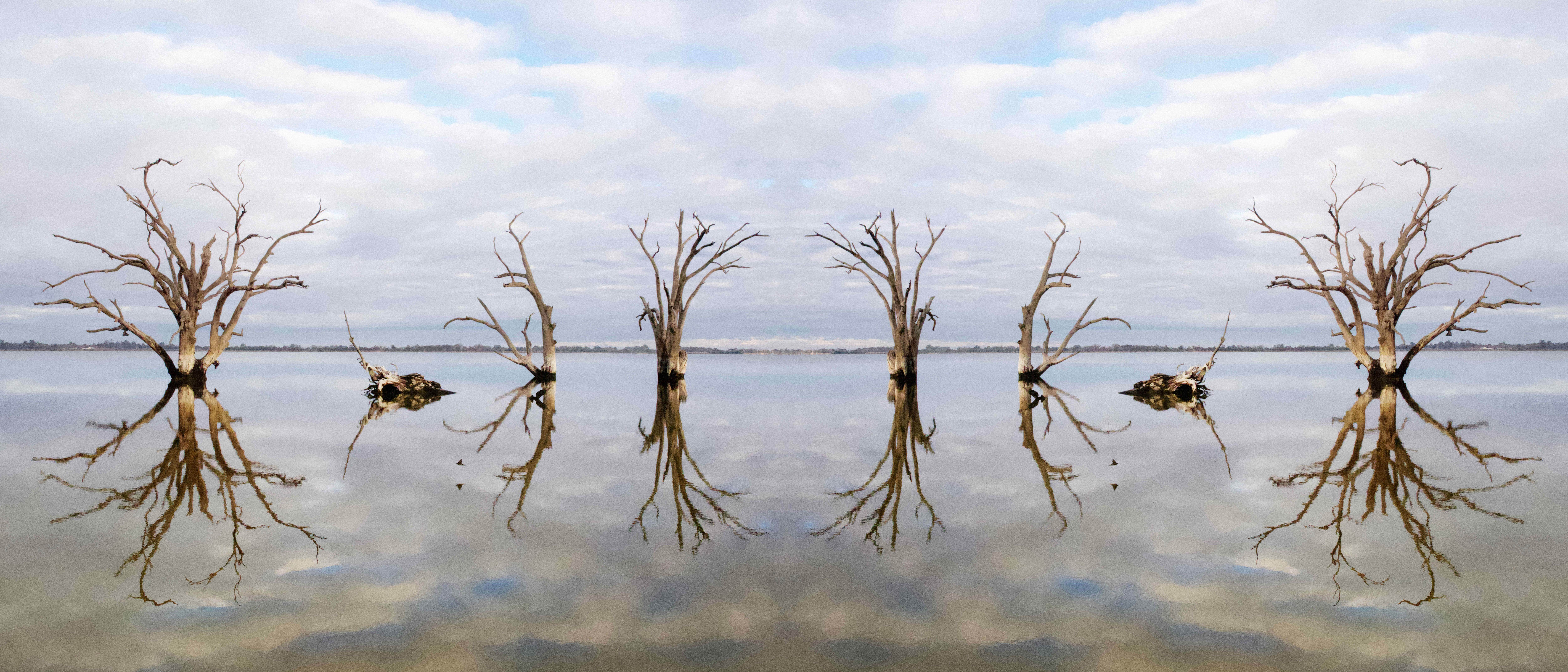 edit-Oh My Murray Darling
