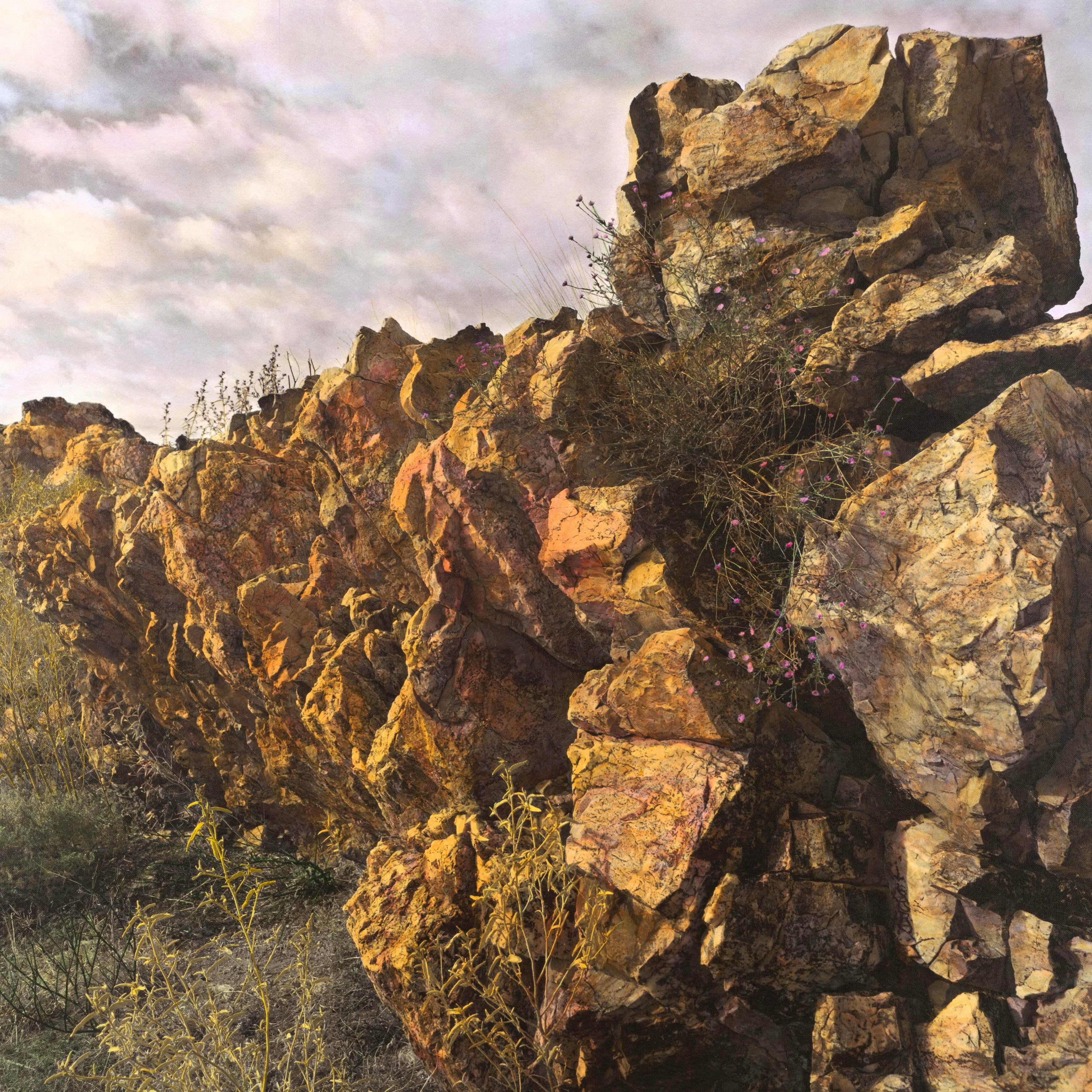 Quartzite ridge_Shelter II_File 1_2193a