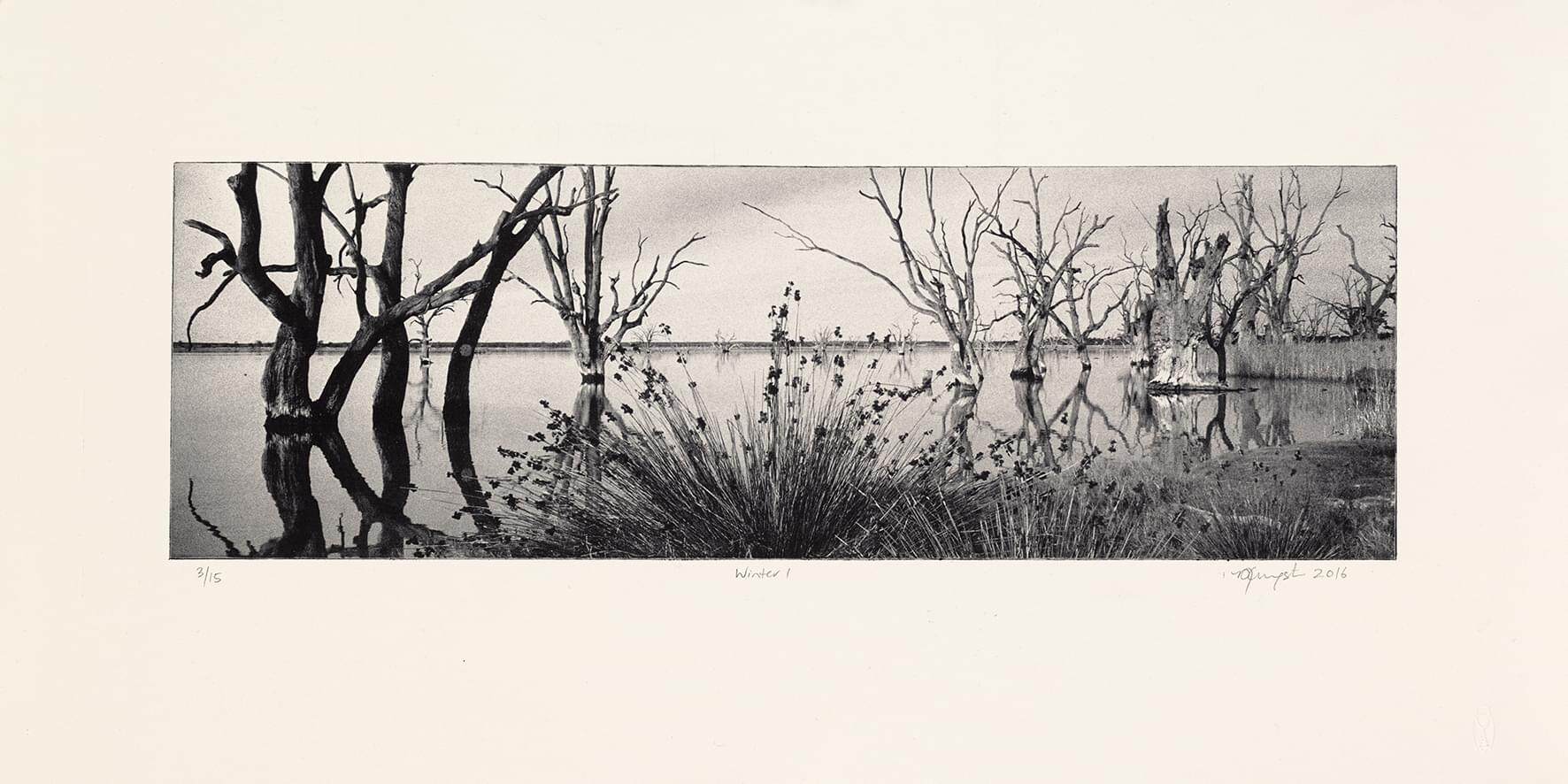 1. Winter I_4650_lr