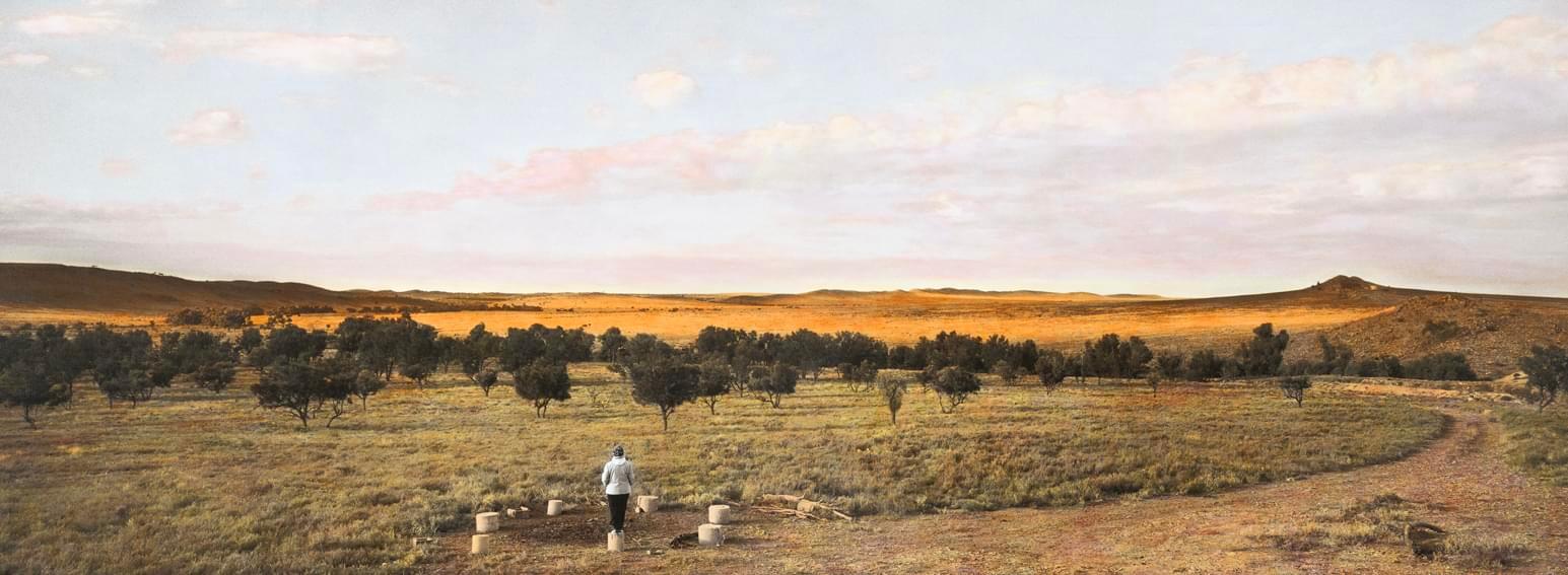 File 1_2199 Settlement view