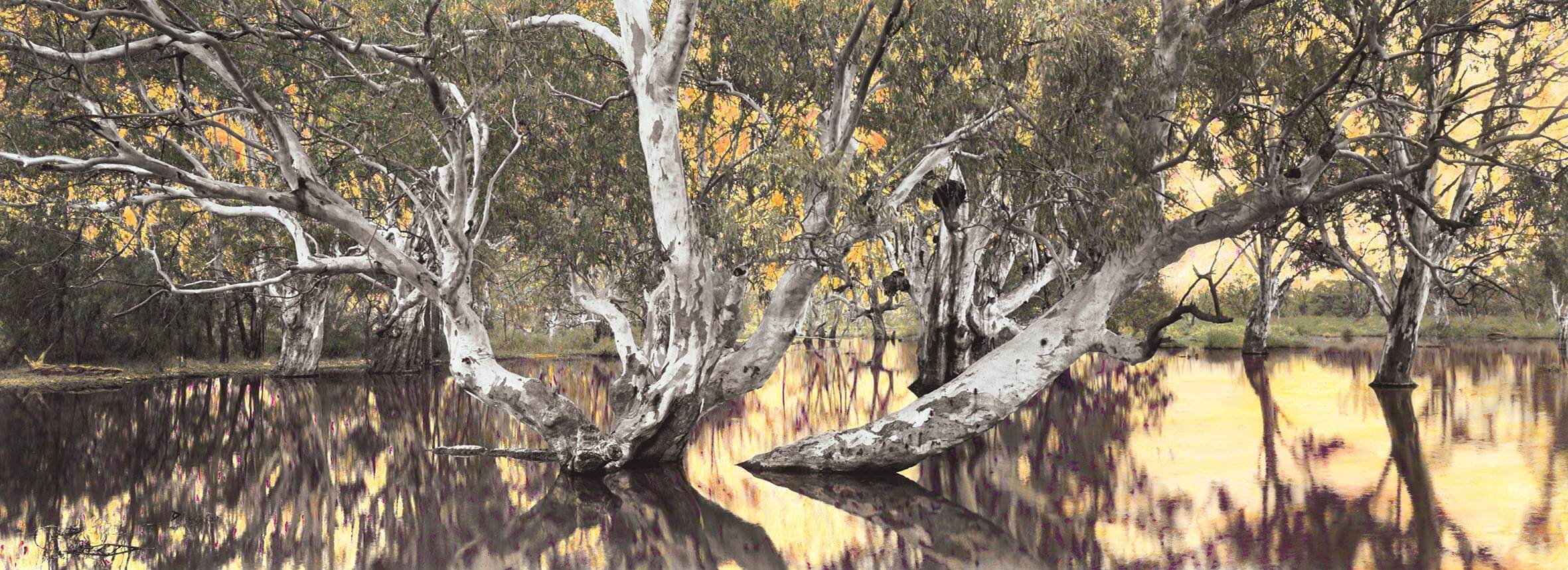 Listening to the River_Lightbox