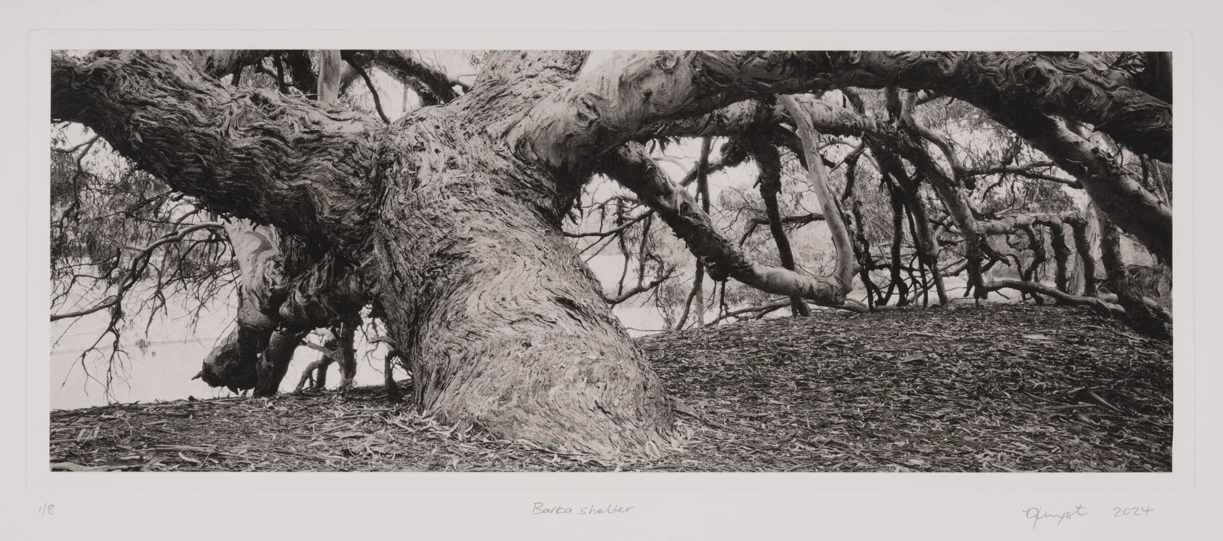 Barka shelter_4422_detail