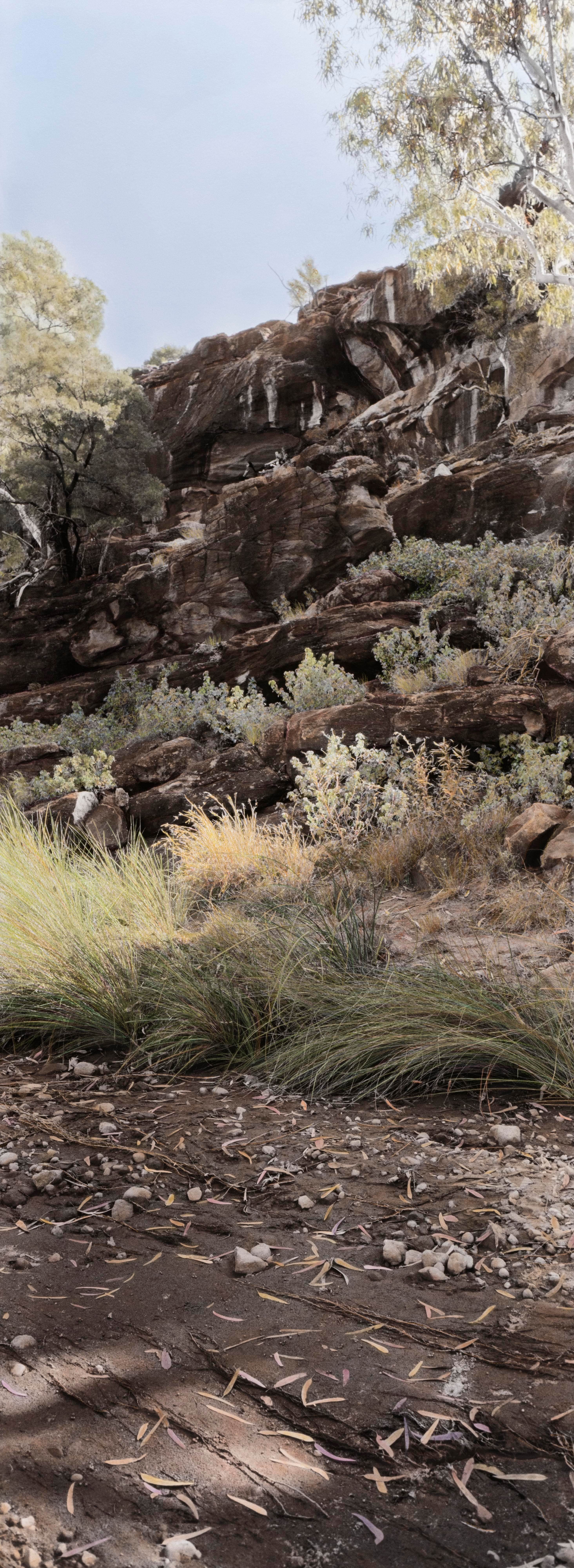 Old Mutawintji Gorge III