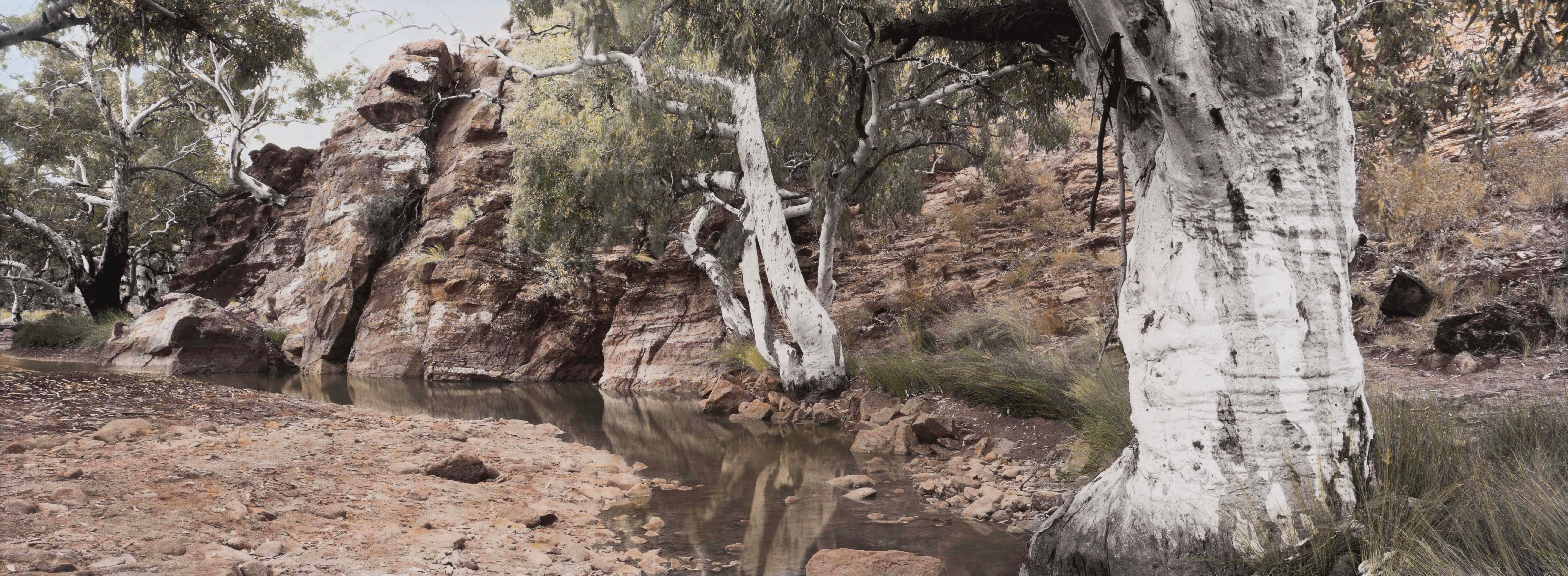 Nici Cumpston_Fossil waterhole