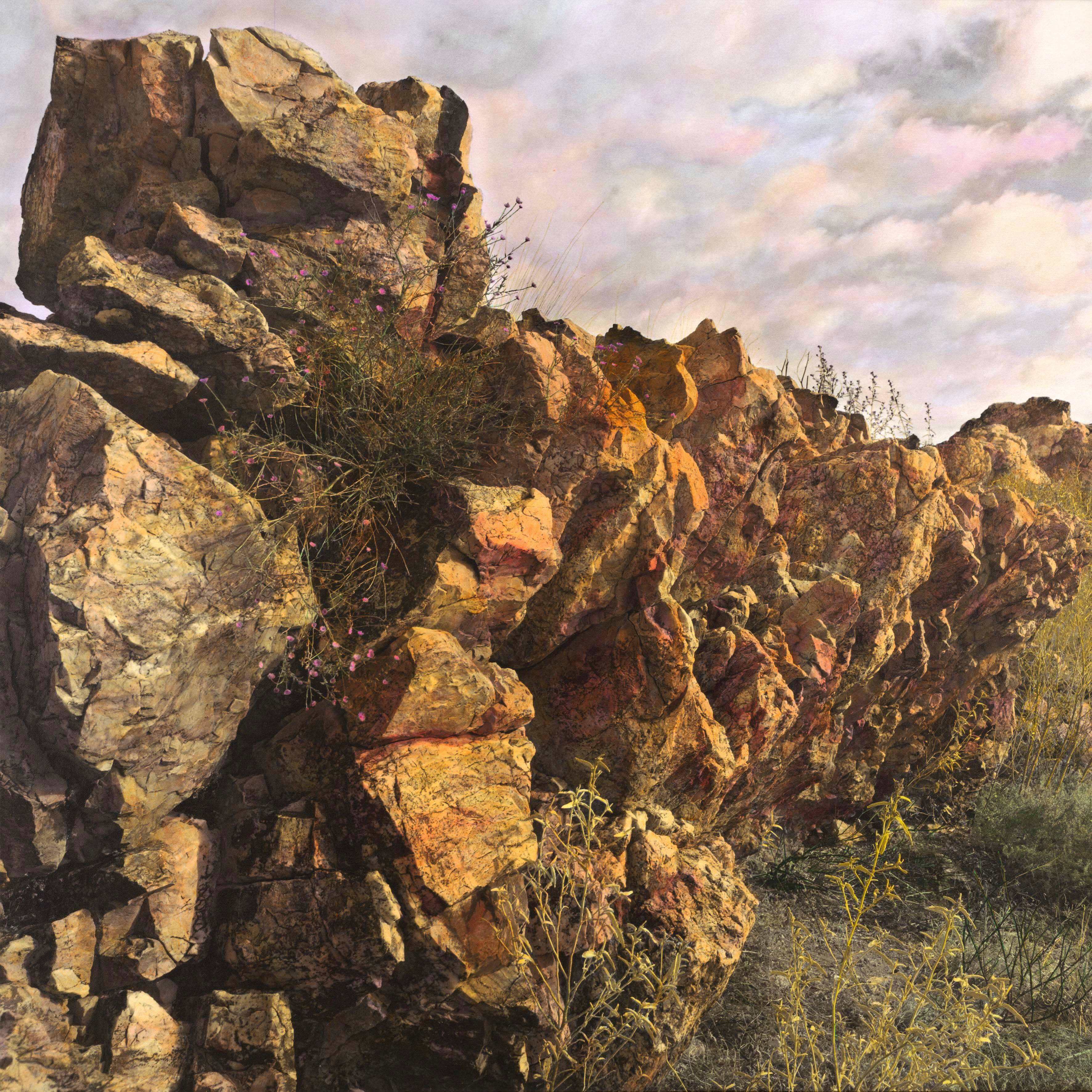 Quartzite ridge_Shelter I_File 1_2195a