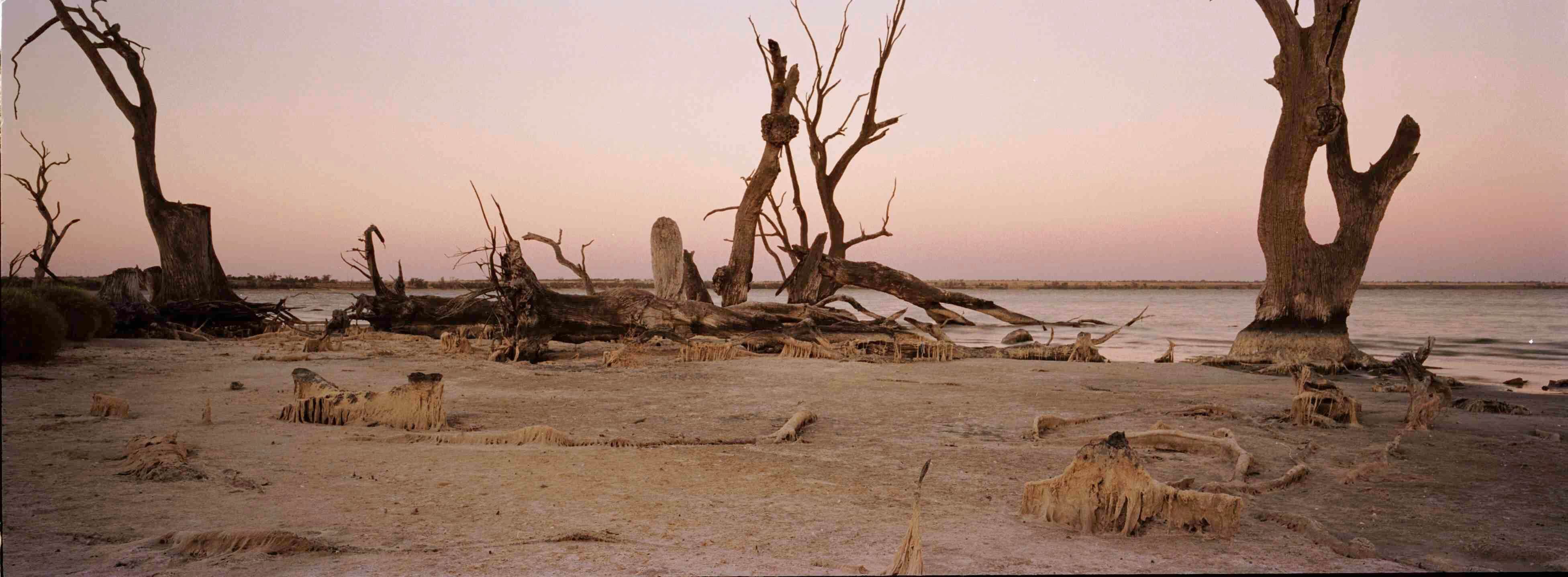 Cultural landscape - Nookamka I